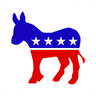 Democratic Presidential Nominee 2028