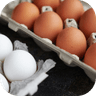 Price of Dozen Eggs in May?