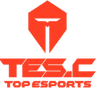 Top Esports Challenger