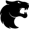 FURIA Esports