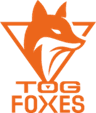 TeamOrangeGaming