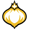 Onion Team
